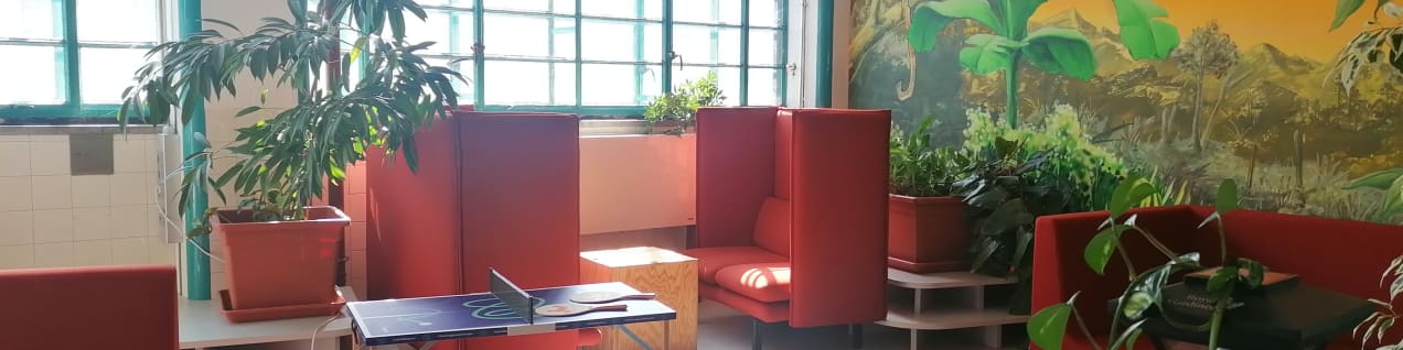 Bild vom Arbeitsplatz apichap