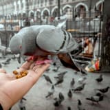 4 Möglichkeiten um Top-Tech-Talente besser als Ihre Konkurrenz anzuziehen und zu halten