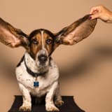 Was Personaler sagen und was Developer hören