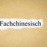 Tipp: Lade deinen Developer-CV nicht mit Fachjargon auf!