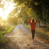 Health Tech Jobs in Österreich