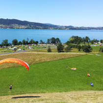 EOX, Foto 3