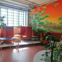 apichap, Foto 2