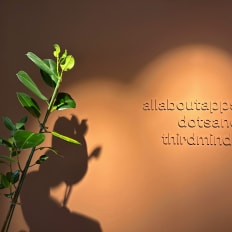 thirdmind GmbH