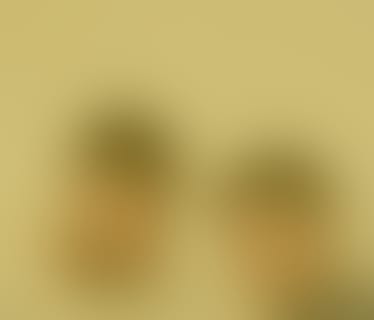 Header iC consulenten Ziviltechniker GesmbH