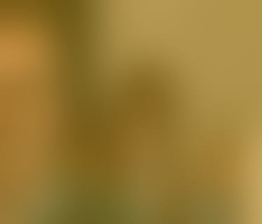 Header GRAWE-IT GmbH