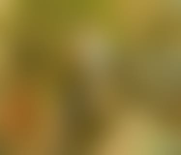 Header 3-S-IT Dienstleistungen GmbH