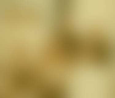 Header replient.ai