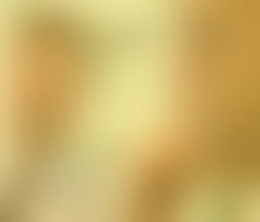 Header Gofore