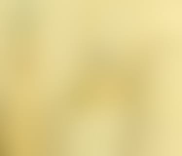 Header Frauenthal Handel Gruppe AG