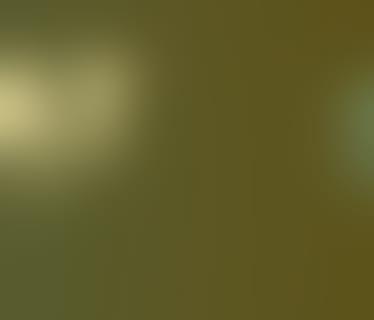 Header GPS.at (Softwaro GmbH)