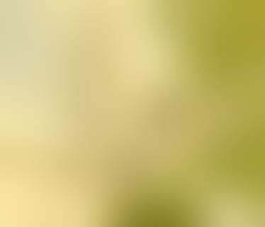 Header Universität Salzburg