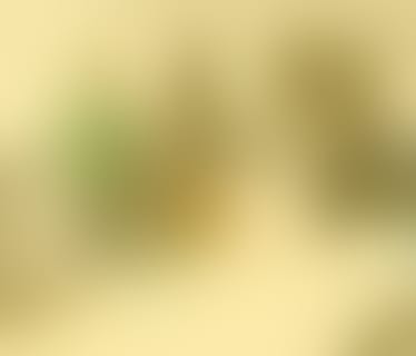 Header Premedia GmbH