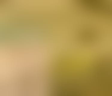 Header Loxone Electronics GmbH