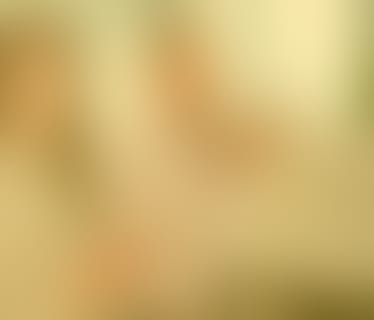 Header RegionalMedien Austria AG