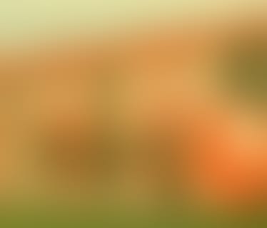 Header Fröling Heizkessel- und Behälterbau Ges.m.b.H