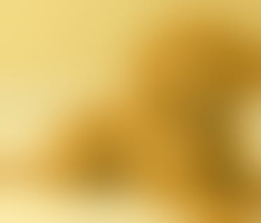 Header philoro Edelmetalle GmbH