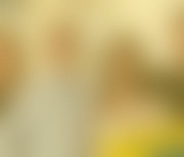 Header Niederösterreichische Versicherung AG