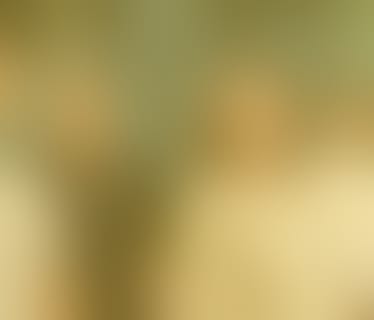 Header TGW Logistics Group