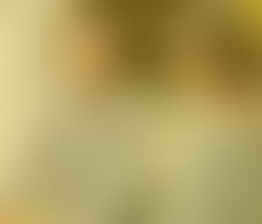 Header SSI Schäfer IT Solutions GmbH