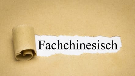 Tipp: Lade deinen Developer-CV nicht mit Fachjargon auf!