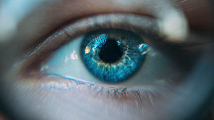Computer Vision Jobs in Österreich