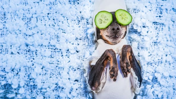 Sie müssen Entwicklern nicht alles bieten!