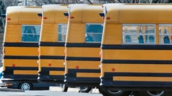 Berufsbilder im Fokus: Backend Developer