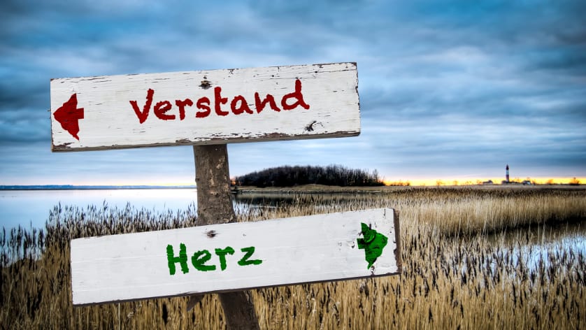 Dev-Bewerbung: Füge deinem Vorstellungsgesprächen emotionale Intelligenz hinzu