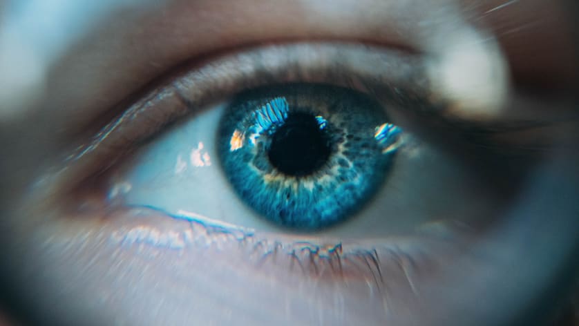 Computer Vision Jobs in Österreich