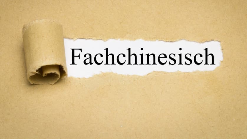 Tipp: Lade deinen Developer-CV nicht mit Fachjargon auf!
