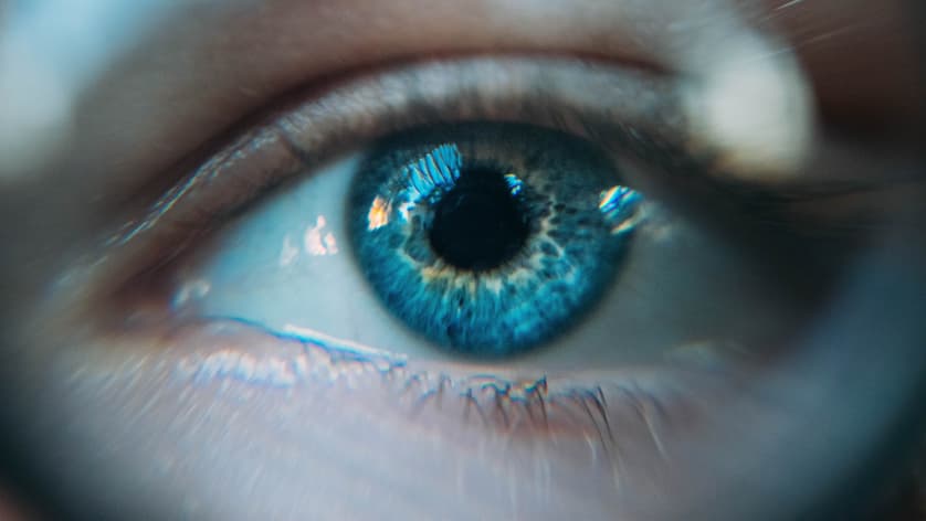 Computer Vision Jobs in Österreich
