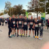 Team insight Karriere