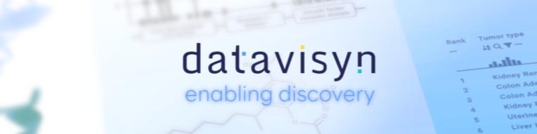 Arbeitsplatz Bild datavisyn GmbH