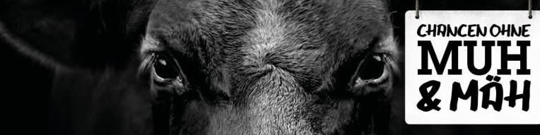 Arbeitsplatz Bild Grissemann Gesellschaft m.b.H.