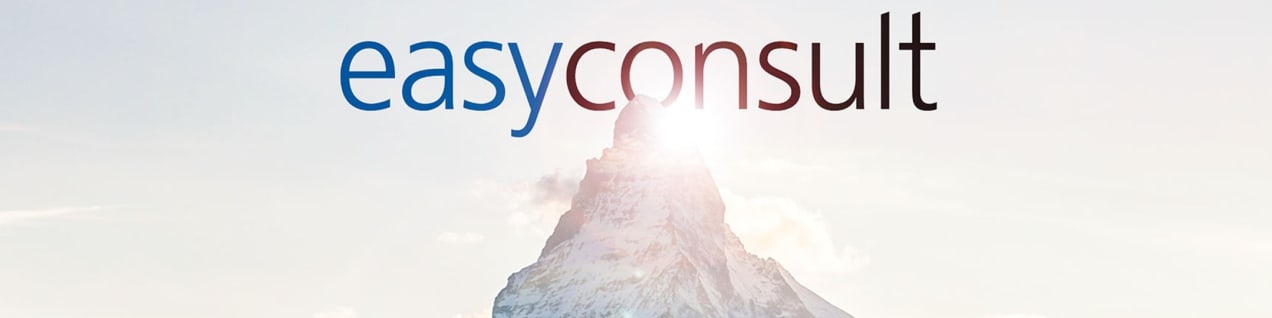 Arbeitsplatz Bild easyconsult