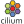 Logo Technology Cilium