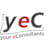 Logo your eConsultants GmbH