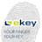 Logo ekey biometric systems GmbH