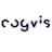 cogvis software und consulting GmbH