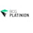 BCG Platinion GmbH