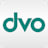 Logo dvo Software