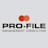 Logo Pro-file Management Consulting