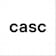 Logo CASC full service agentur GmbH