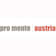 Logo pro mente