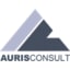 AURIS IT Consult GmbH