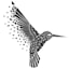 Senior Software Engineer