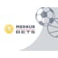 Merkur Excellence GmbH