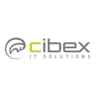 Logo cibex GmbH