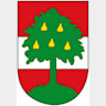 Logo Amt der Stadt Dorbirn
